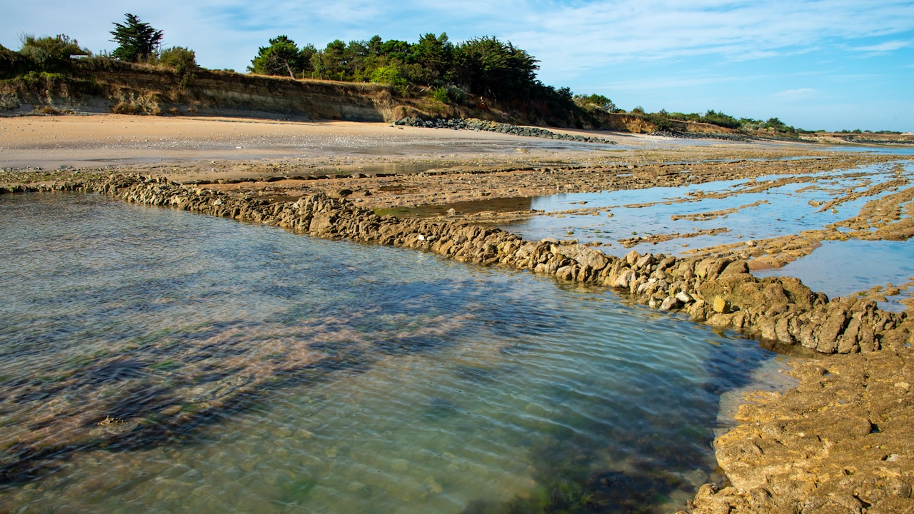 Application and Uses of a Grease Trap